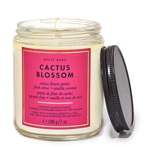 🌻 Bath And Body Works Cactus Blossom Single Wick Candle 🌻